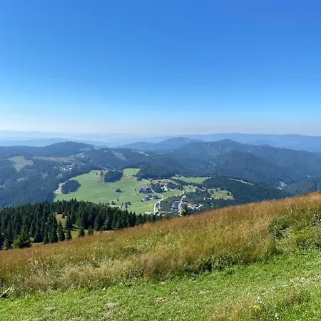 Διαμέρισμα Panorama Zuzi *